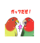 鳥飼妄想トリーズ1（個別スタンプ：3）