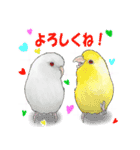 鳥飼妄想トリーズ1（個別スタンプ：9）