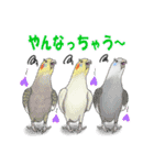 鳥飼妄想トリーズ1（個別スタンプ：13）