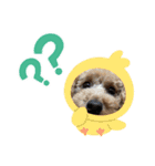 やんちゃな犬（個別スタンプ：3）