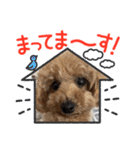 やんちゃな犬（個別スタンプ：8）