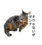 うちのケベナマ2（個別スタンプ：4）