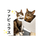 うちのケベナマ2（個別スタンプ：7）