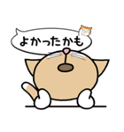 あいさつニャンです（個別スタンプ：22）