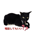 ぼうみにスタンプズ（個別スタンプ：1）
