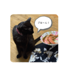 ぼうみにスタンプズ（個別スタンプ：2）