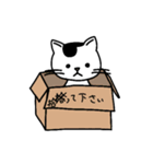 飼い猫ソラ。の日常（個別スタンプ：5）