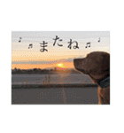田中家のあむすぺしゃるぼりゅーみーぱっく（個別スタンプ：3）