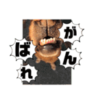 田中家のあむすぺしゃるぼりゅーみーぱっく（個別スタンプ：20）