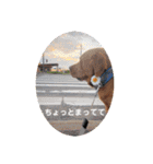 田中家のあむすぺしゃるぼりゅーみーぱっく（個別スタンプ：22）