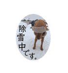 田中家のあむすぺしゃるぼりゅーみーぱっく（個別スタンプ：24）