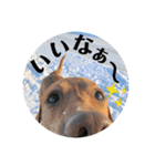 田中家のあむすぺしゃるぼりゅーみーぱっく（個別スタンプ：29）