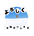 田中家のあむすぺしゃるぼりゅーみーぱっく（個別スタンプ：32）