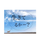 田中家のあむすぺしゃるぼりゅーみーぱっく（個別スタンプ：34）