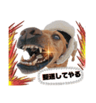 田中家のあむすぺしゃるぼりゅーみーぱっく（個別スタンプ：40）