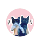 保護猫スタンプ⑧（個別スタンプ：6）