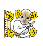 保護猫スタンプ⑧（個別スタンプ：9）