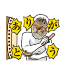 保護猫スタンプ⑧（個別スタンプ：15）