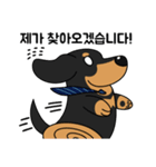 何でもやってくれるドグさん (韓国語)（個別スタンプ：3）