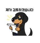 何でもやってくれるドグさん (韓国語)（個別スタンプ：4）