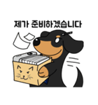 何でもやってくれるドグさん (韓国語)（個別スタンプ：6）
