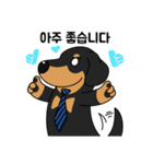 何でもやってくれるドグさん (韓国語)（個別スタンプ：9）