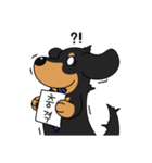 何でもやってくれるドグさん (韓国語)（個別スタンプ：13）