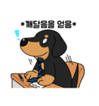 何でもやってくれるドグさん (韓国語)（個別スタンプ：18）
