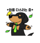 何でもやってくれるドグさん (韓国語)（個別スタンプ：22）