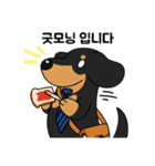 何でもやってくれるドグさん (韓国語)（個別スタンプ：24）