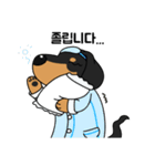 何でもやってくれるドグさん (韓国語)（個別スタンプ：25）
