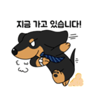 何でもやってくれるドグさん (韓国語)（個別スタンプ：26）