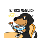 何でもやってくれるドグさん (韓国語)（個別スタンプ：28）