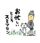 猫とハシビロコウ【あいさつ/春夏】（個別スタンプ：19）
