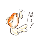 金魚です。（個別スタンプ：19）