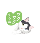 二色の瞳を持つ猫からの素敵ギフト♪（個別スタンプ：3）