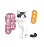 二色の瞳を持つ猫からの素敵ギフト♪（個別スタンプ：10）