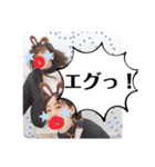 毎日使えるよ！さちねスタンプ！（個別スタンプ：15）