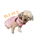 河合めいちゃん（個別スタンプ：7）
