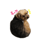 河合めいちゃん（個別スタンプ：11）