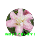 ゆきちゃんスタンプ33（個別スタンプ：3）
