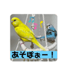 ゆきちゃんスタンプ33（個別スタンプ：5）