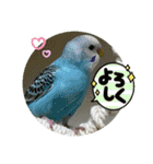 ゆきちゃんスタンプ33（個別スタンプ：7）
