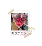 ゆきちゃんスタンプ33（個別スタンプ：8）
