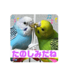 ゆきちゃんスタンプ33（個別スタンプ：9）