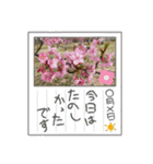 ゆきちゃんスタンプ33（個別スタンプ：11）