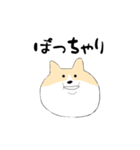 ぽっちゃり コーギー（個別スタンプ：1）
