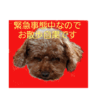 もなちゃんの一言2（個別スタンプ：1）