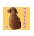 もなちゃんの一言2（個別スタンプ：2）