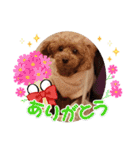 もなちゃんの一言2（個別スタンプ：11）